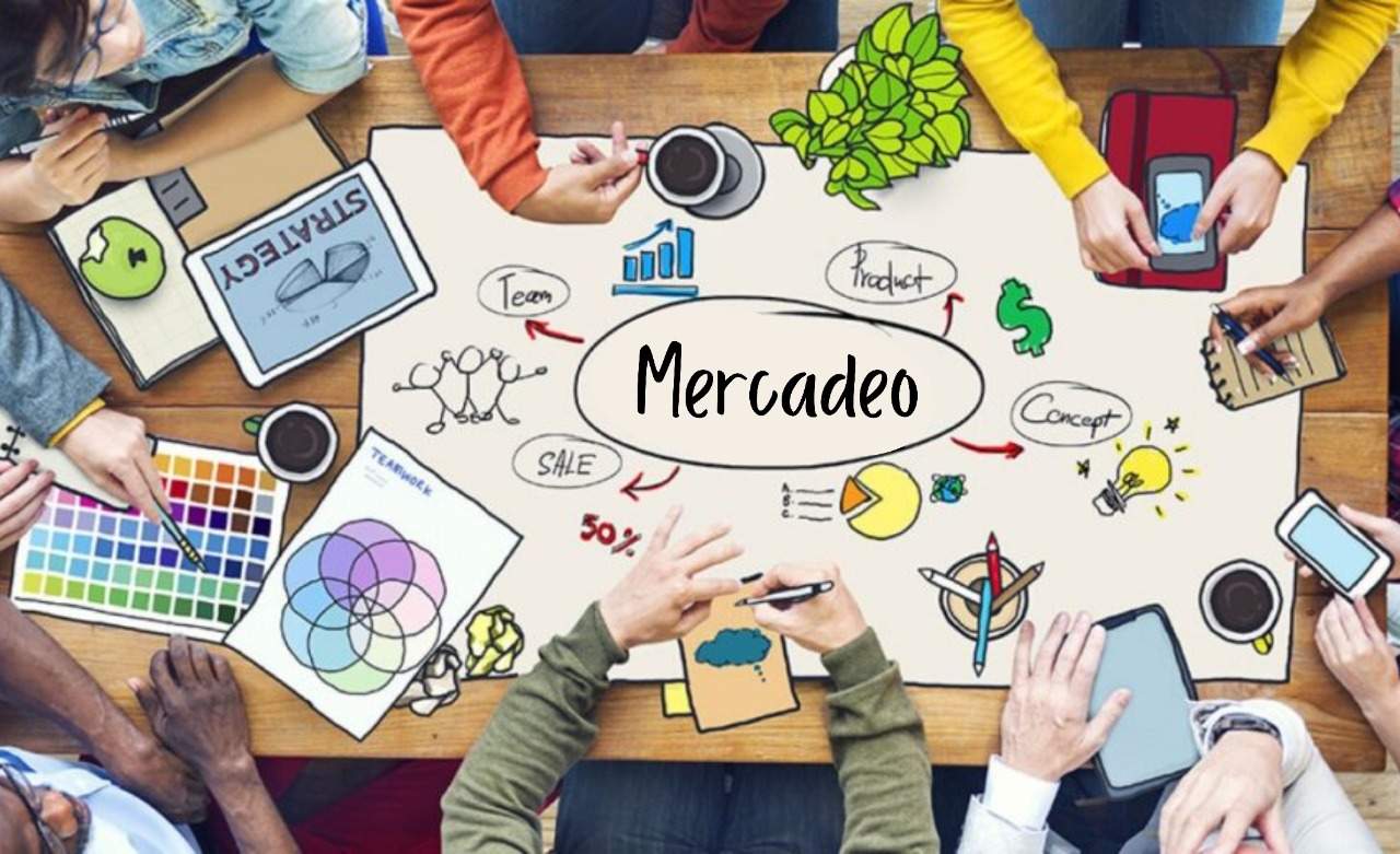 PFP - MÓDULO V - MERCADEO