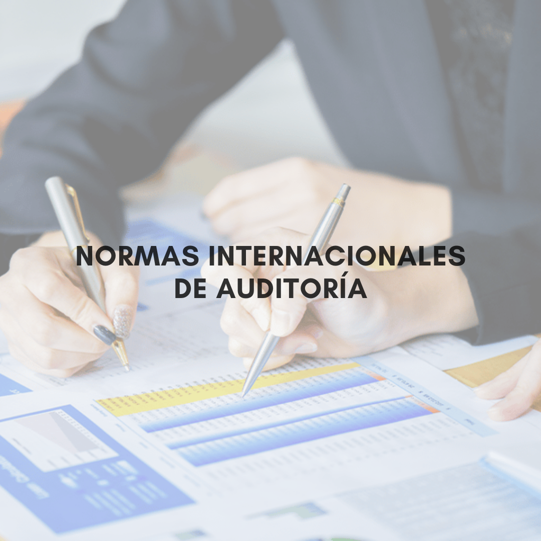 MÓDULO II. NORMAS INTERNACIONALES DE AUDITORÍA - 2G