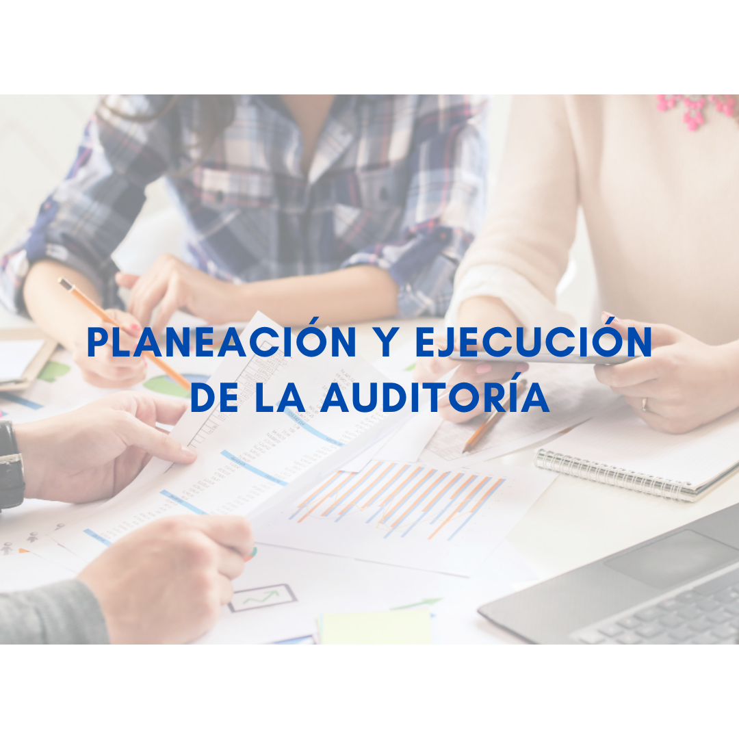 MÓDULO IV. PLANEACIÓN Y EJECUCIÓN DE LA AUDITORÍA - 2G